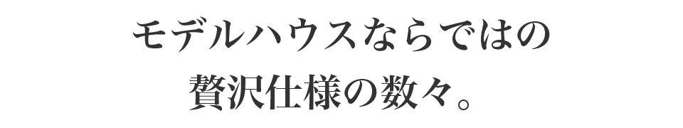 モデルハウスならではの贅沢仕様の数々。