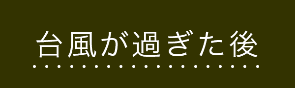 台風が過ぎた後